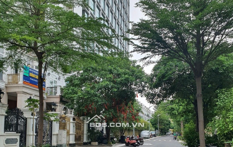 Bán nhà phố 6m x 19m có tầng hầm khu Cityland Garden hills, Q. Gò Vấp, TP.HCM